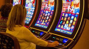 pxxbet com